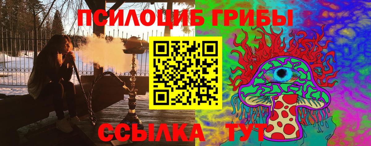 Галлюциногенные грибы мицелий Лесосибирск